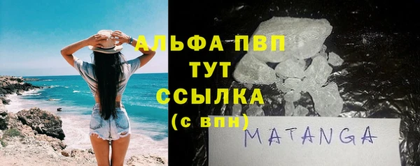 стаф Каменск-Шахтинский